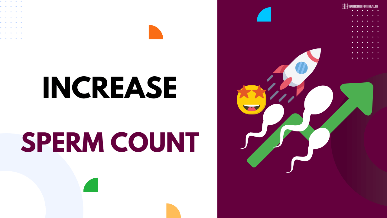 Increase sperm count