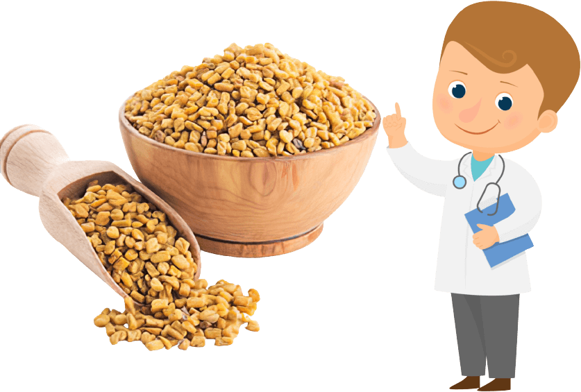 About Fenugreek seeds