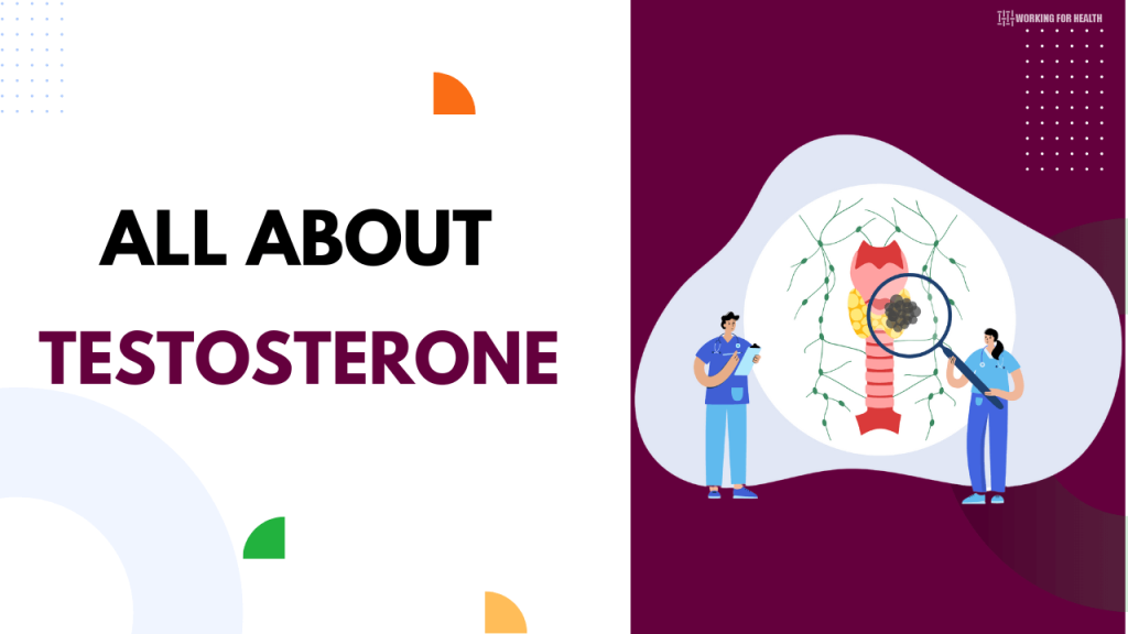 All About Testosterone