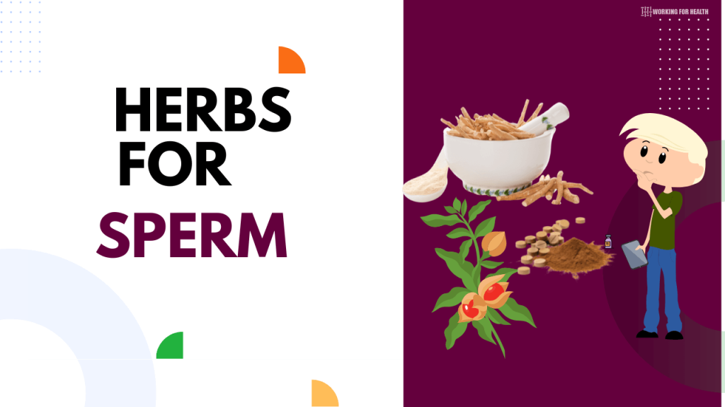 herbs to increase sperm count