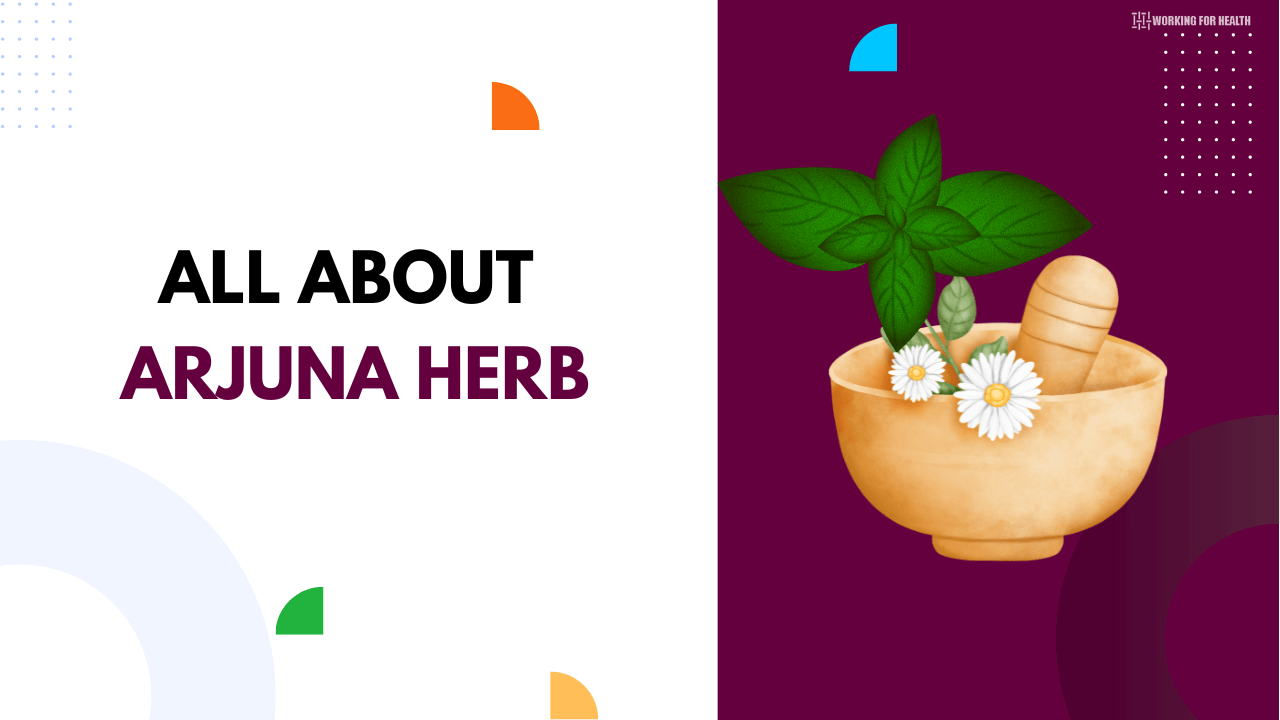 all about arjuna herb