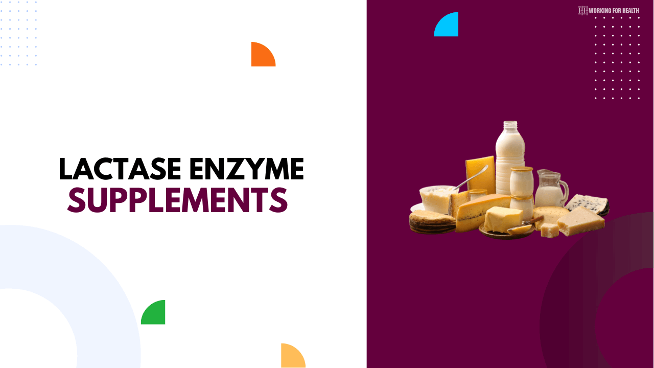 Best Lactase Enzyme Supplements